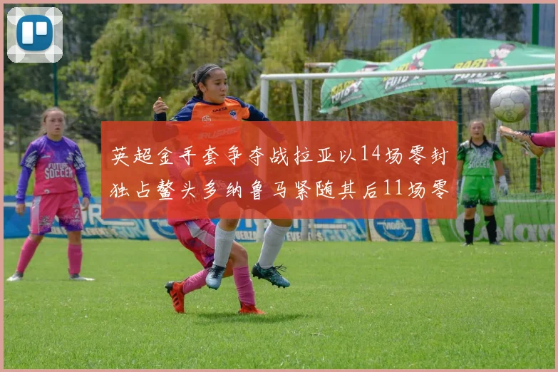 英超金手套争夺战拉亚以14场零封独占鳌头多纳鲁马紧随其后11场零封