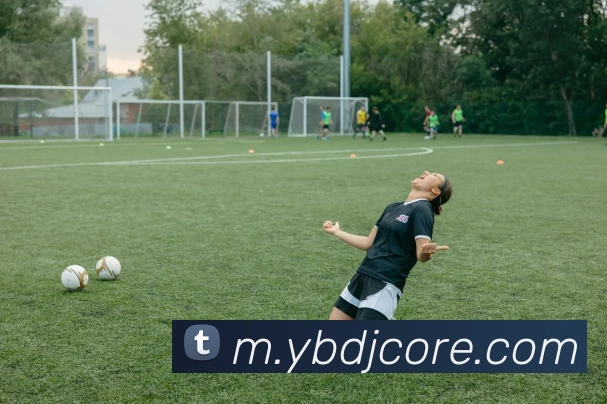 亿博电竞APP 封面图